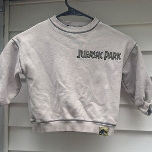 3. Zara Kids Jurassic Park Gray Sweatshirt